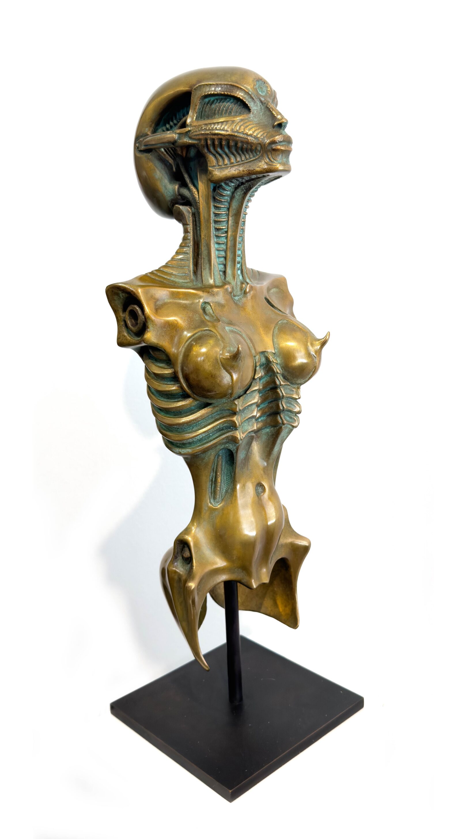 Biomechanoid 2002 (mid size)